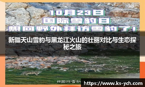 新疆天山雪豹与黑龙江火山的壮丽对比与生态探秘之旅